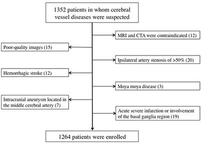Correlation Between Internal Carotid Artery Tortuosity and Imaging of Cerebral Small Vessel Disease